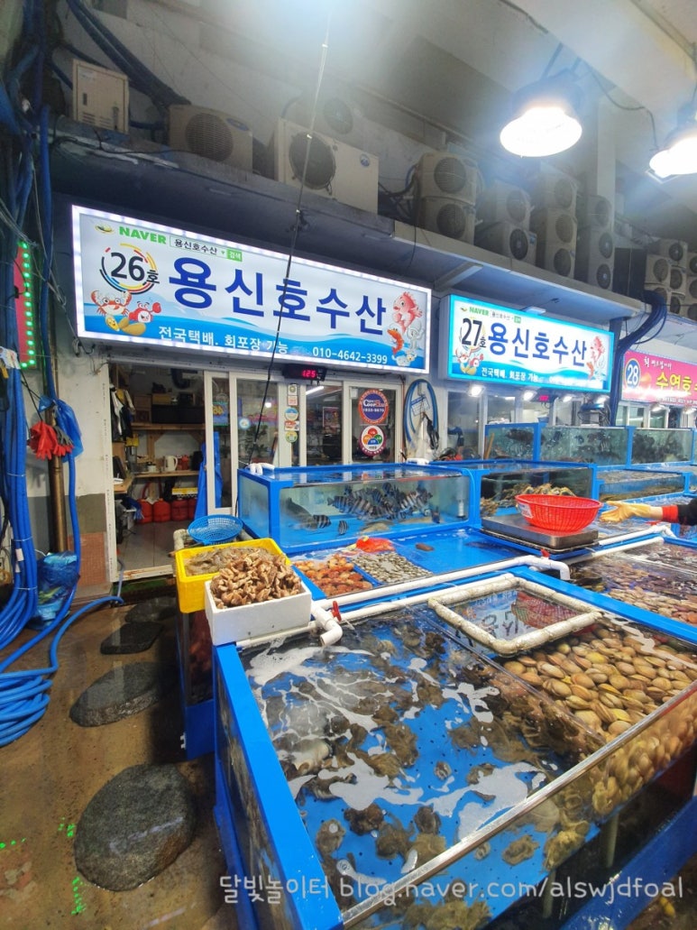용기수산 이미지