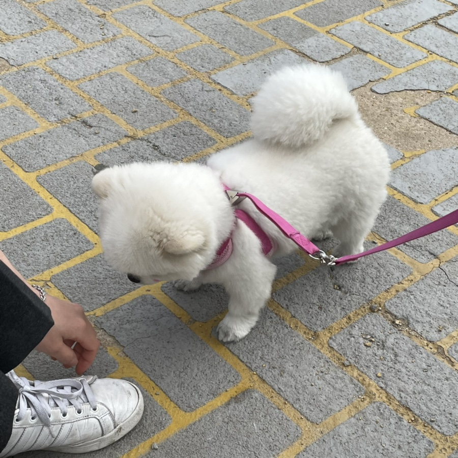모모스터디카페 이미지