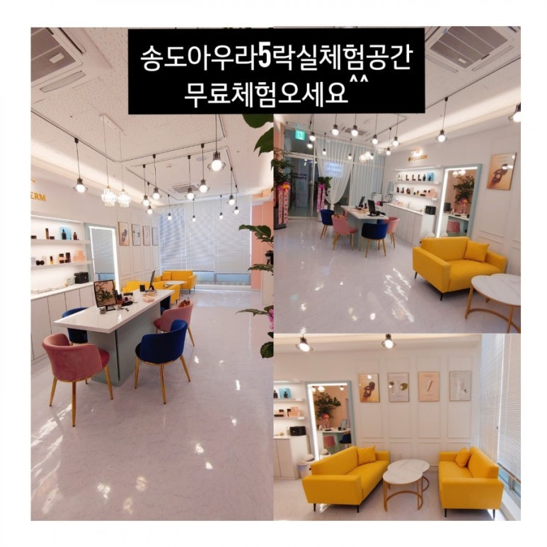 인셀덤서인 이미지