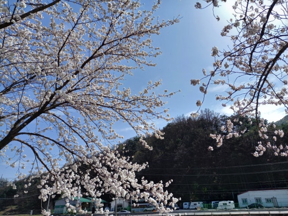 위니아서비스원주 이미지