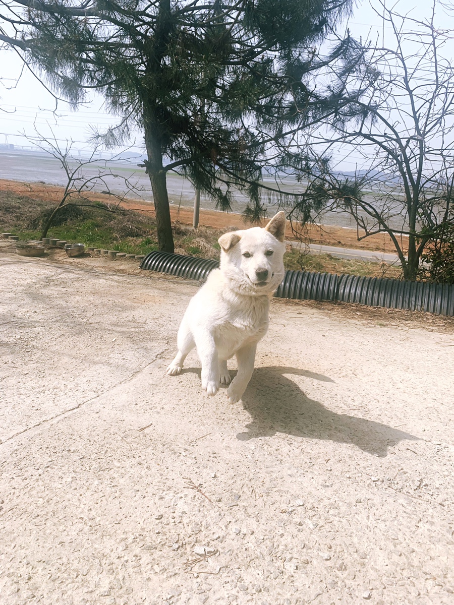 두부명가식당 이미지