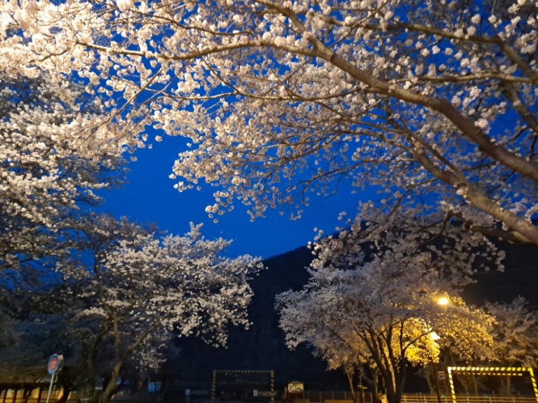 담양횟집 이미지