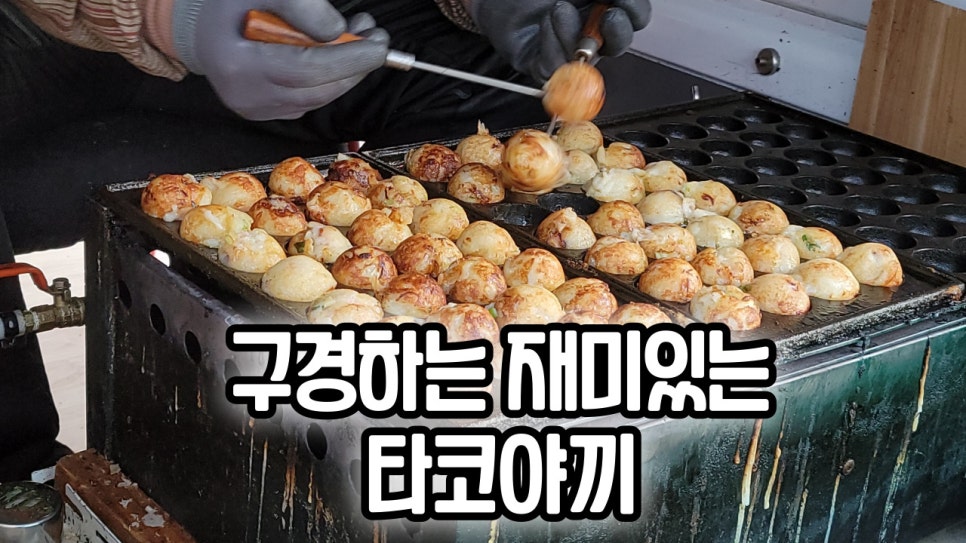 하치타코야끼 이미지