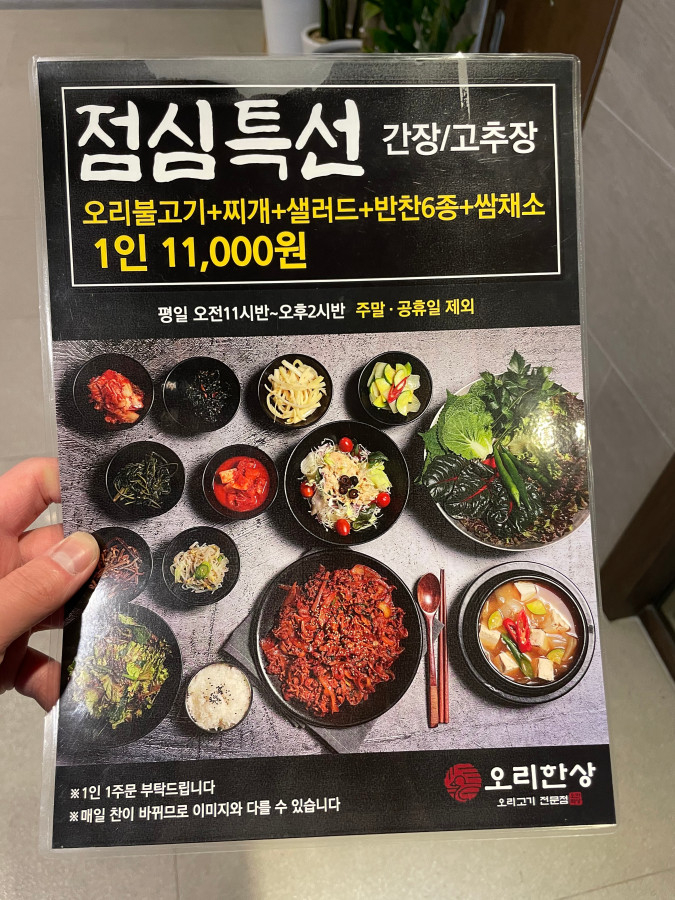 국제오리 이미지