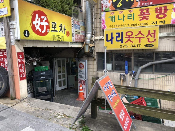 나리수선 이미지