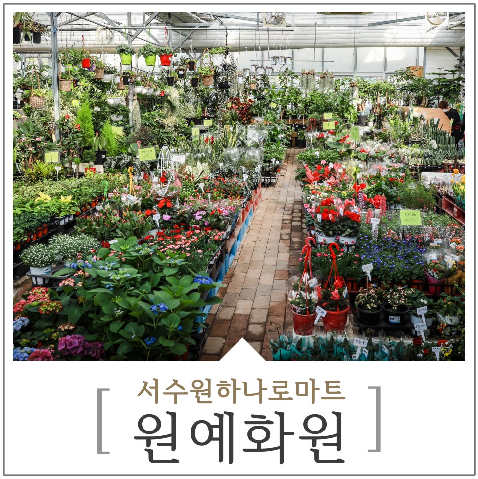하나로화원 이미지
