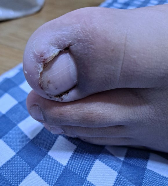 봉글살롱 이미지