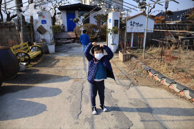 왕벚165 이미지