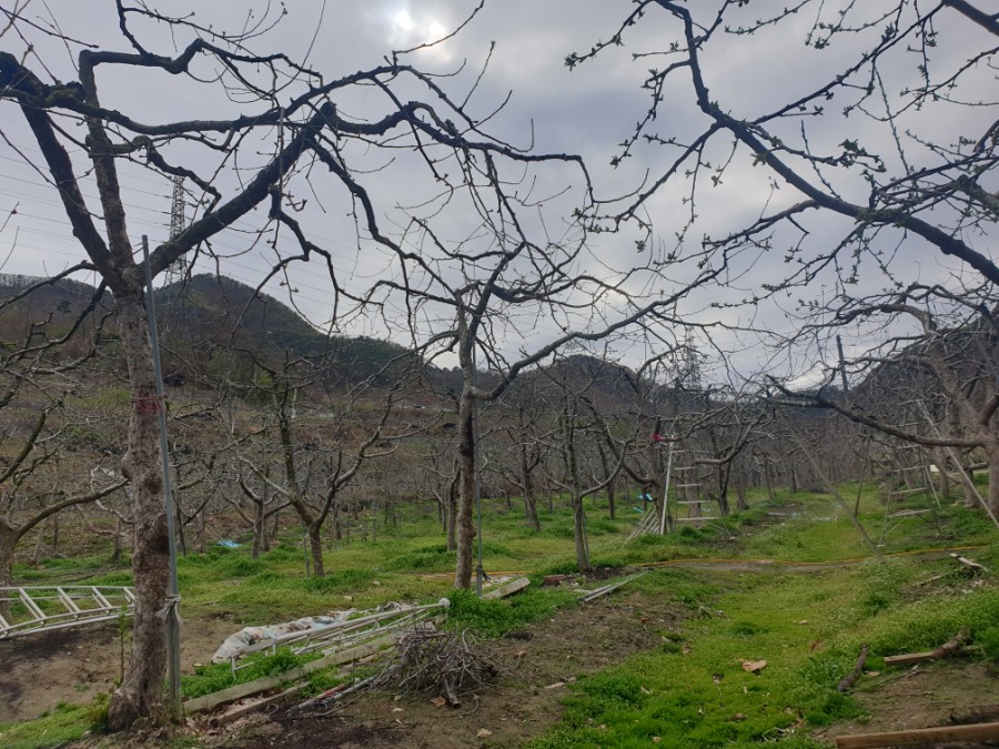 충북재활원 보호작업장 이미지