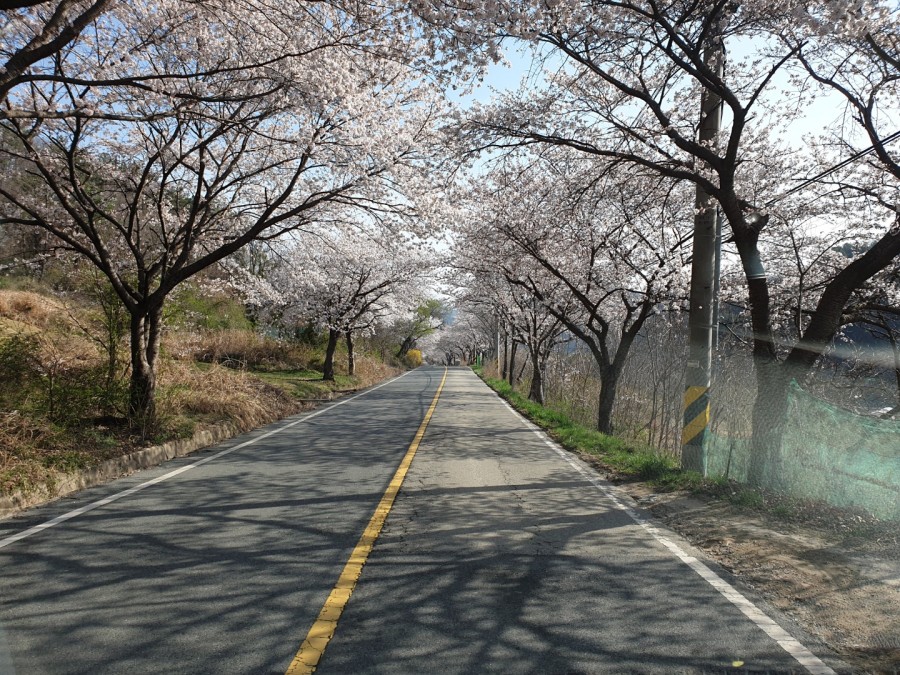 시온민박 이미지