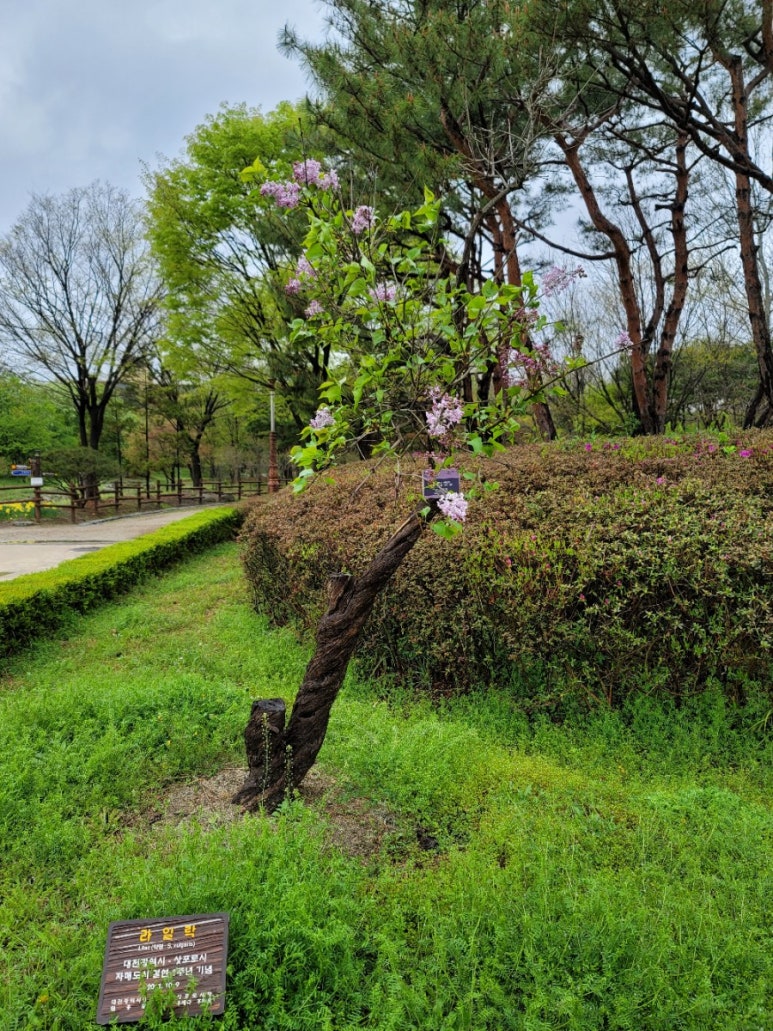 한밭화원 이미지