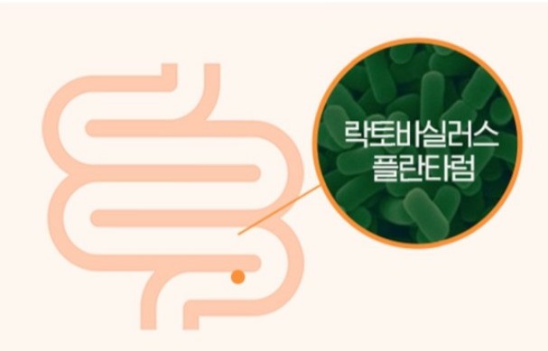 바이오릭스 이미지