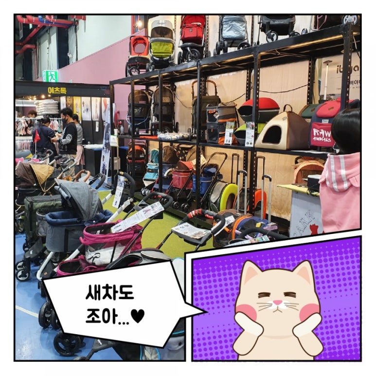 빛돌커뮤니케이션 이미지