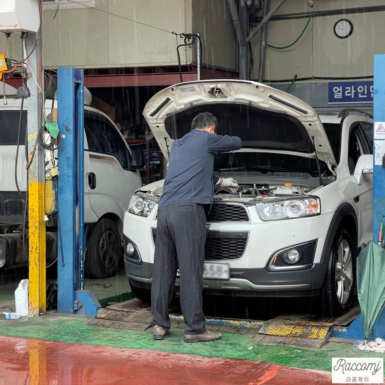 신기카모터스 이미지