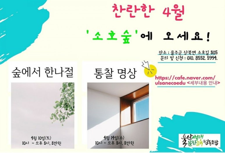 소호야생차 이미지