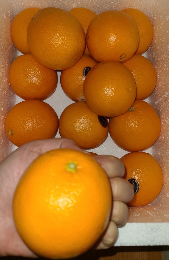 누리상회 이미지