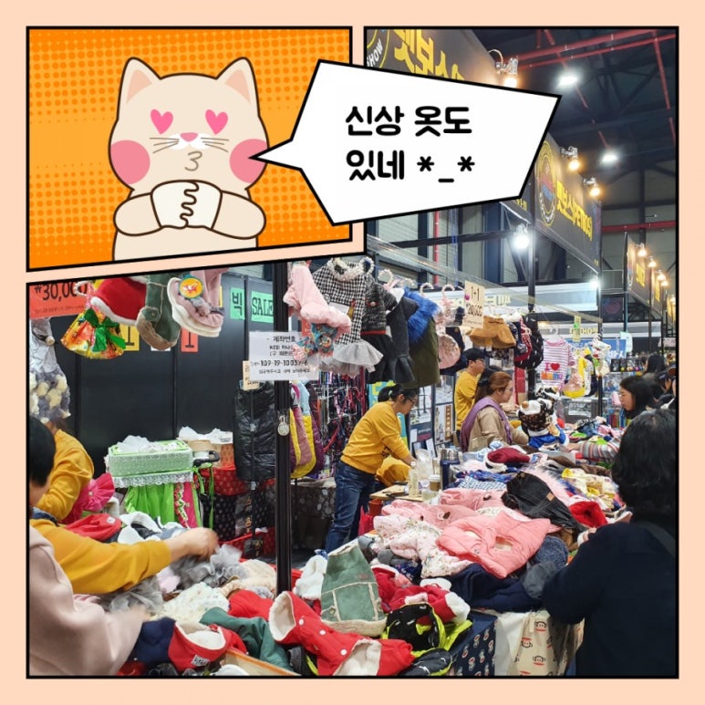 빛돌커뮤니케이션 이미지