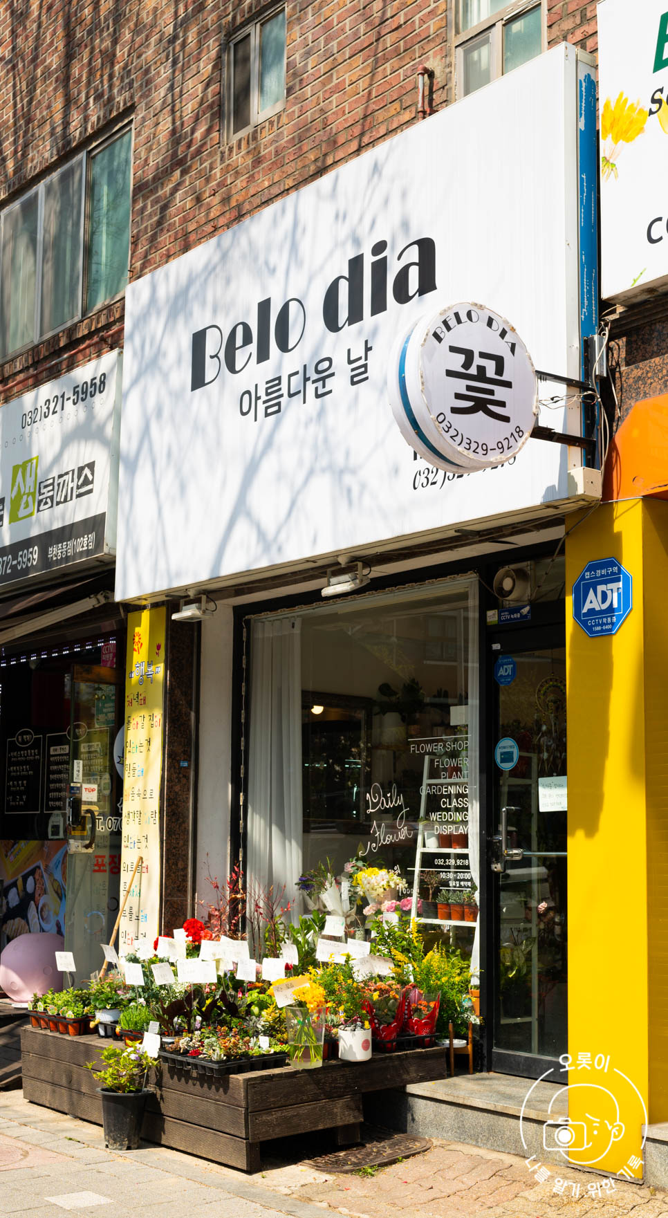 지아플라워 이미지