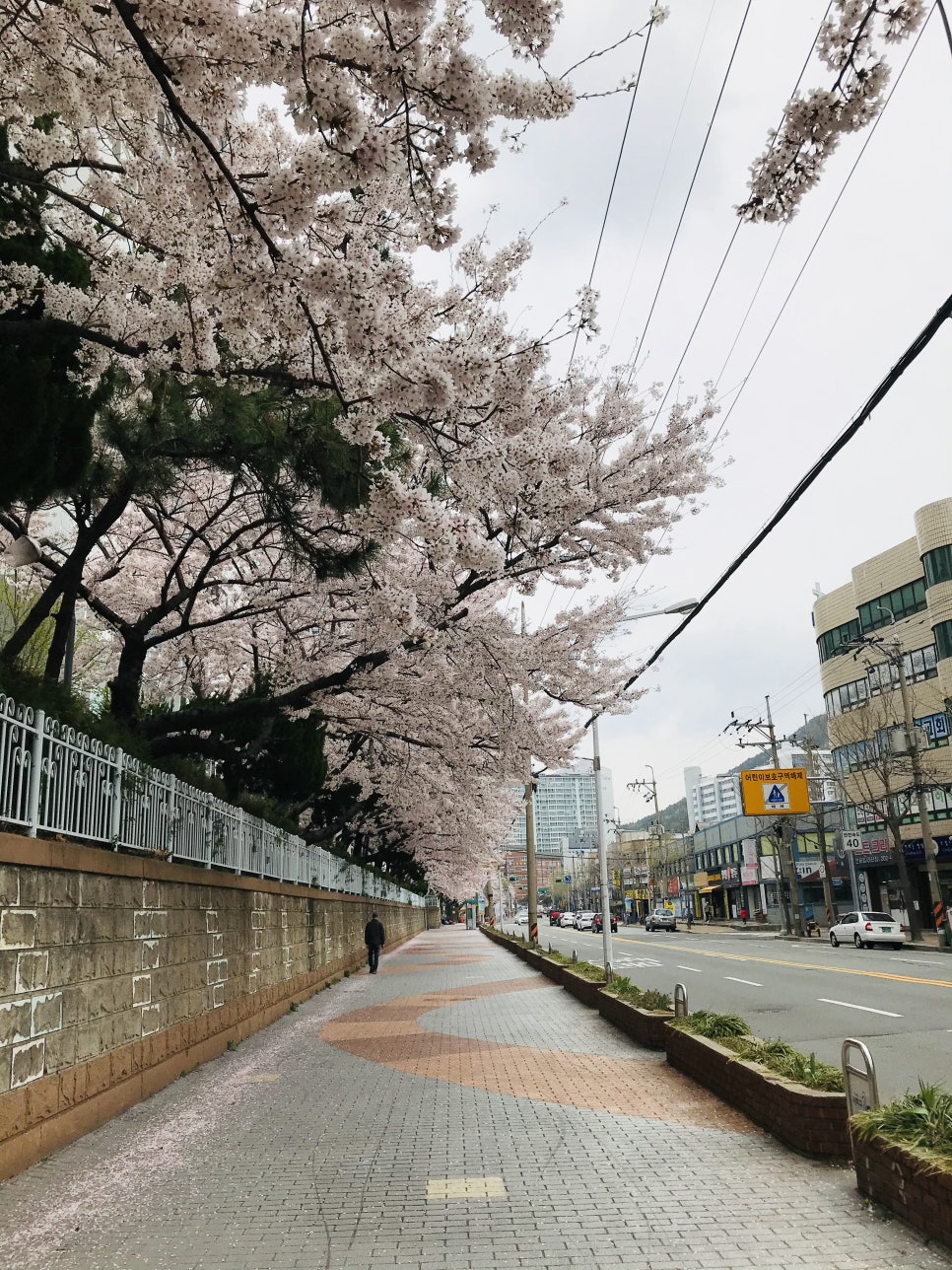 달리는커피하단 이미지