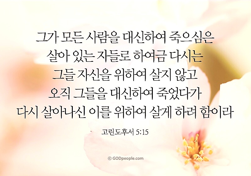 비온후 이미지