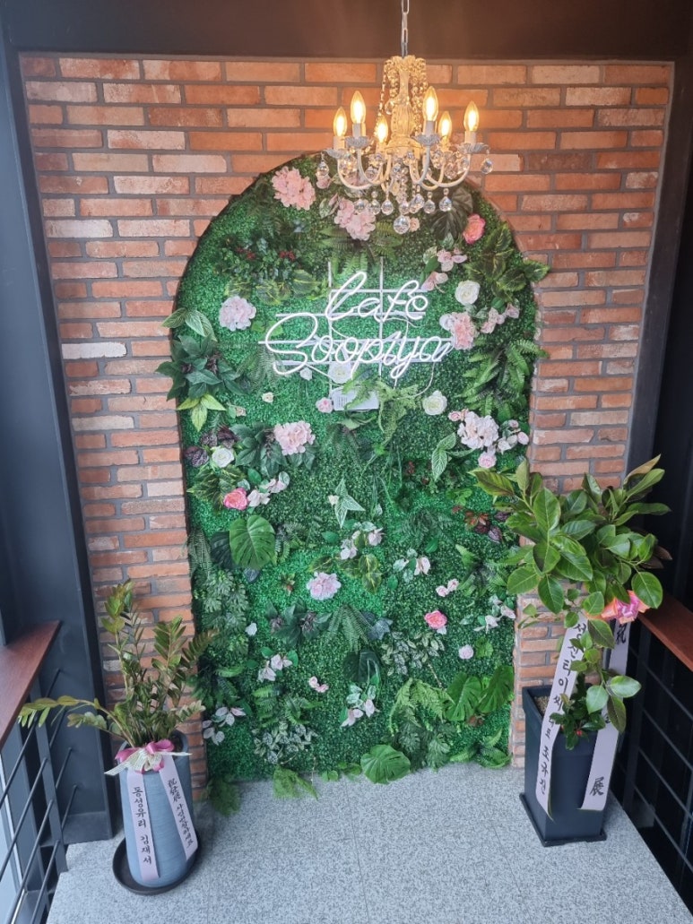 수피야 이미지