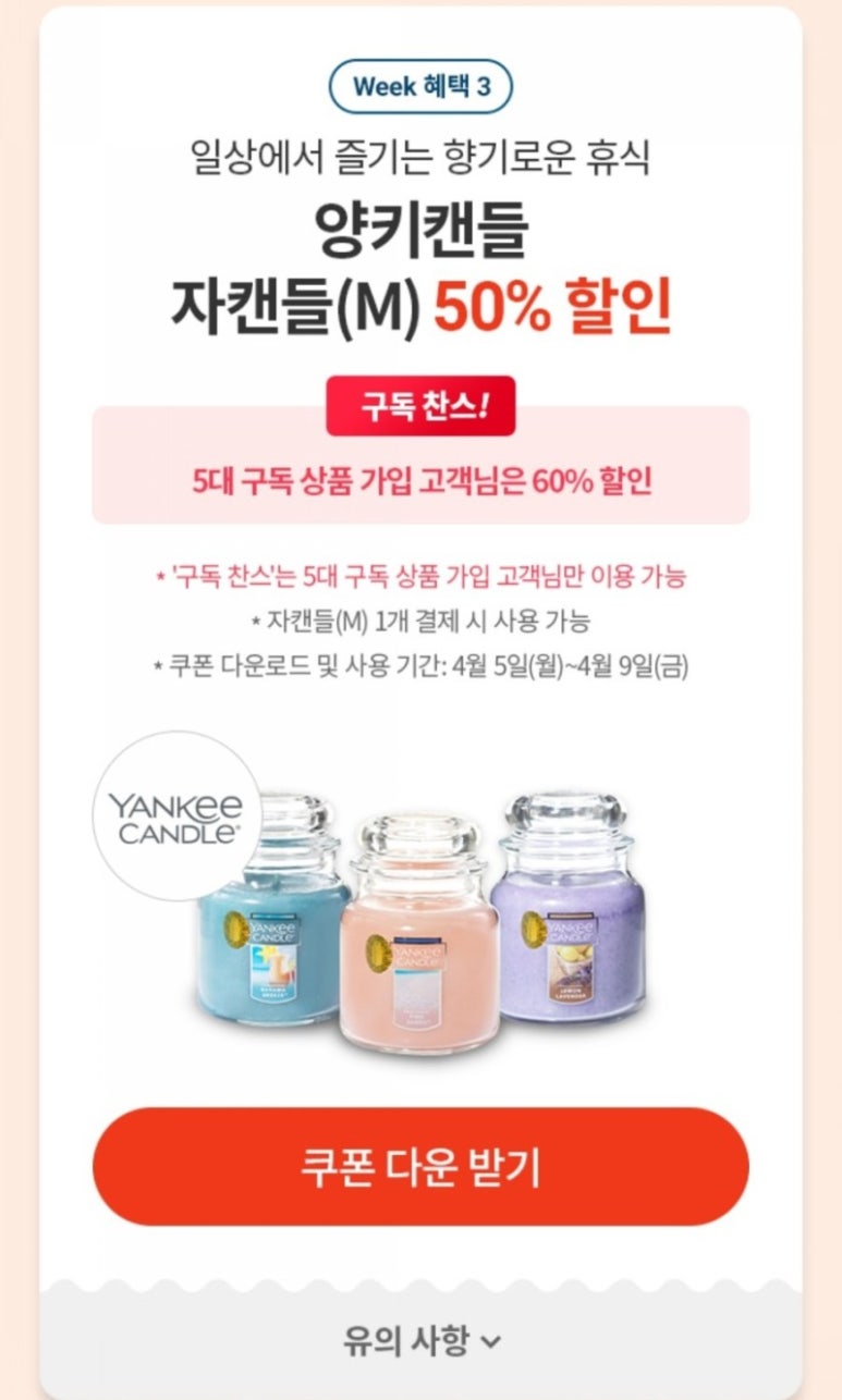양키캔들부산 이미지
