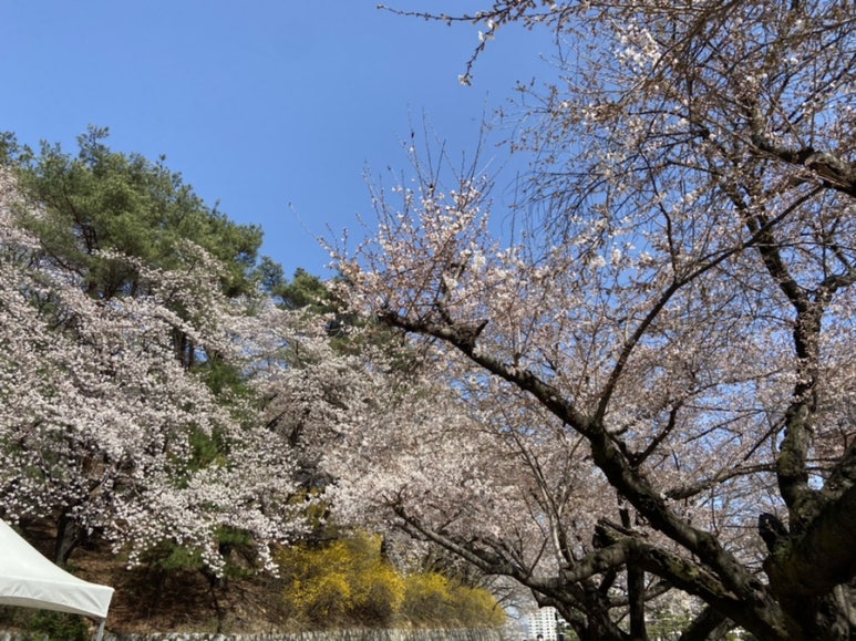 신전떡볶이영주휴천점 이미지