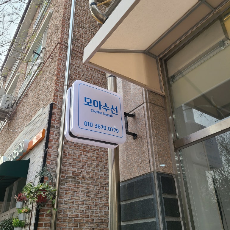 모아수선 이미지