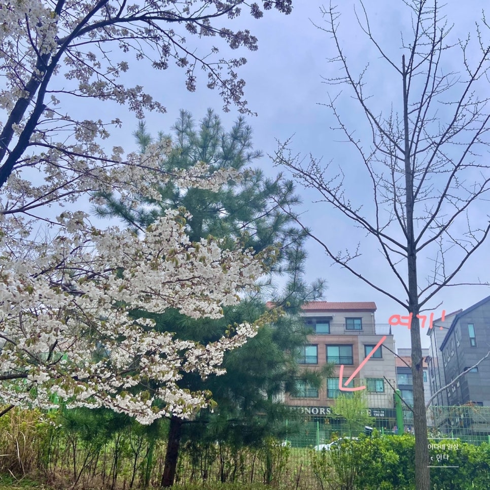 디아너스커피 이미지
