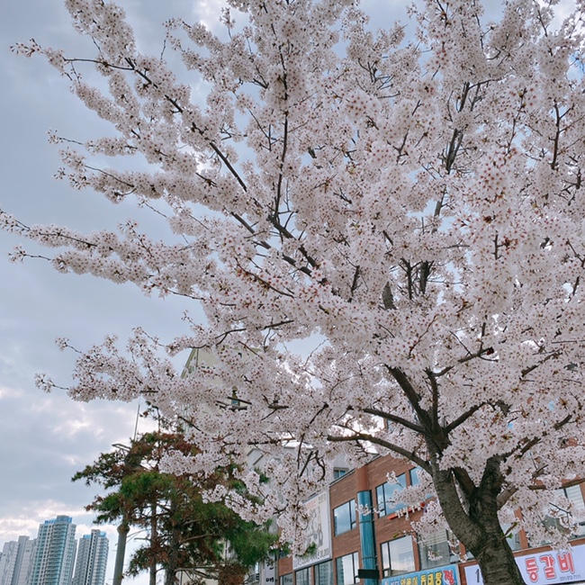 할리스월곶점 이미지