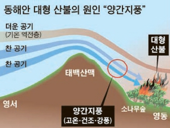 영동상사 이미지