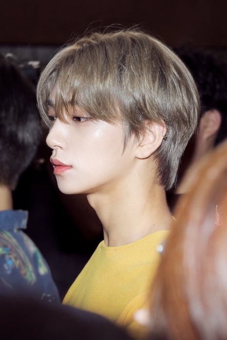 쿠키투어 이미지