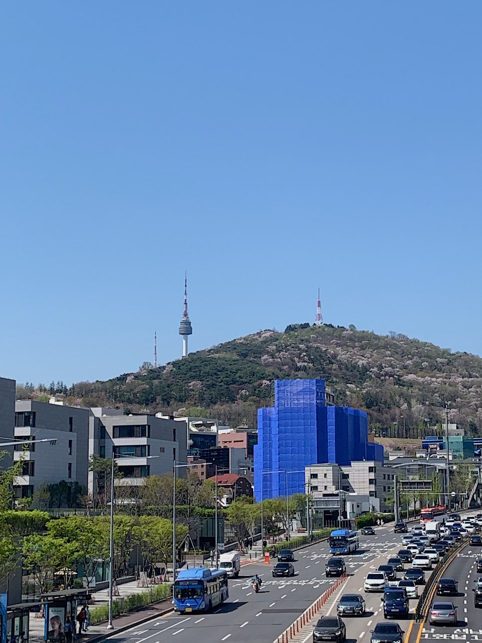 비마이디 이미지