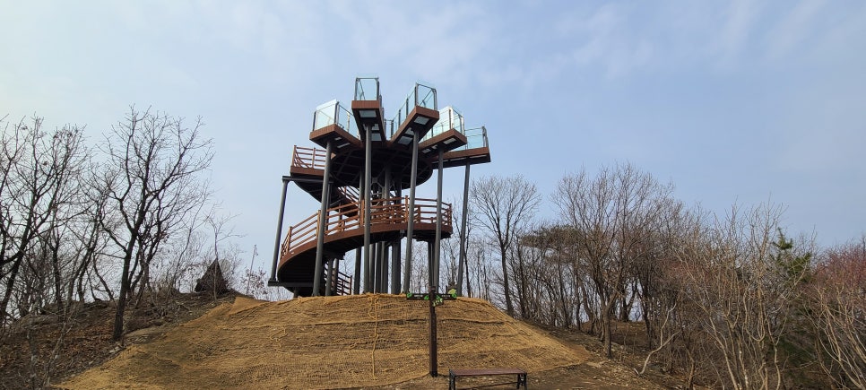 남양주백봉초등학교 이미지