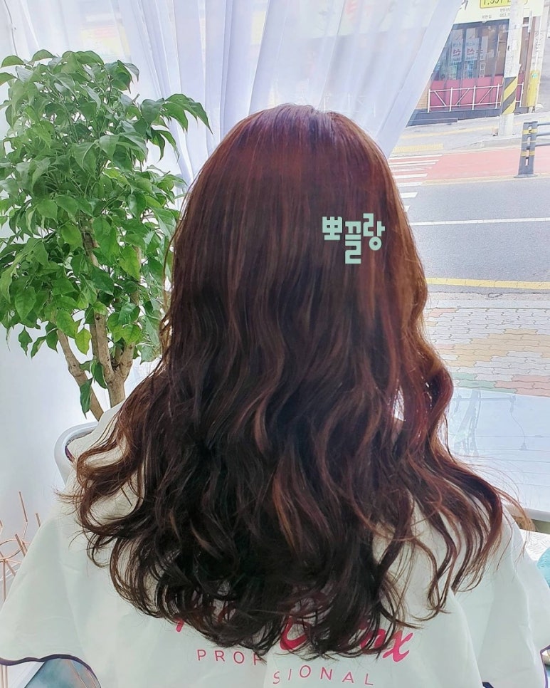 뽀끌랑헤어살롱 이미지