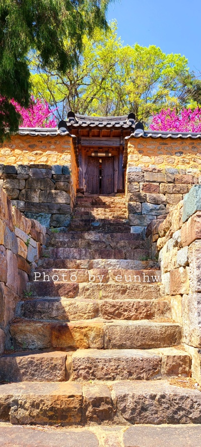 생림국수 이미지