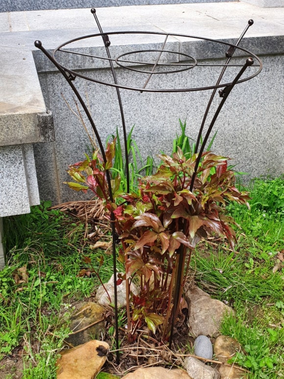상림예다원 이미지