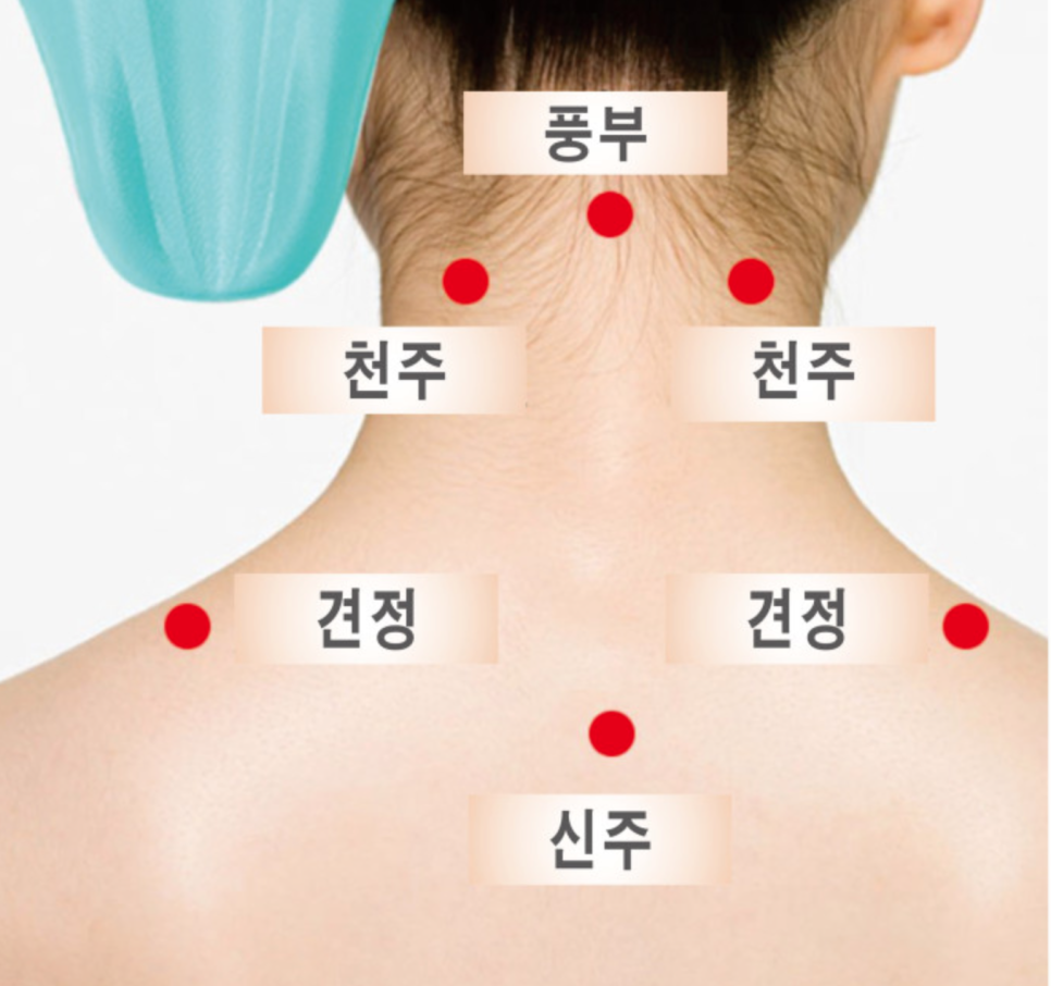 라이즈미 이미지