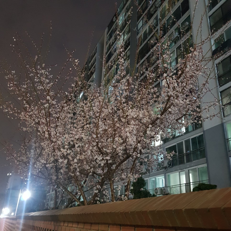 오빠통닭건대 이미지