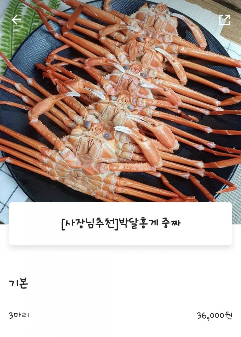 대게이상무 이미지