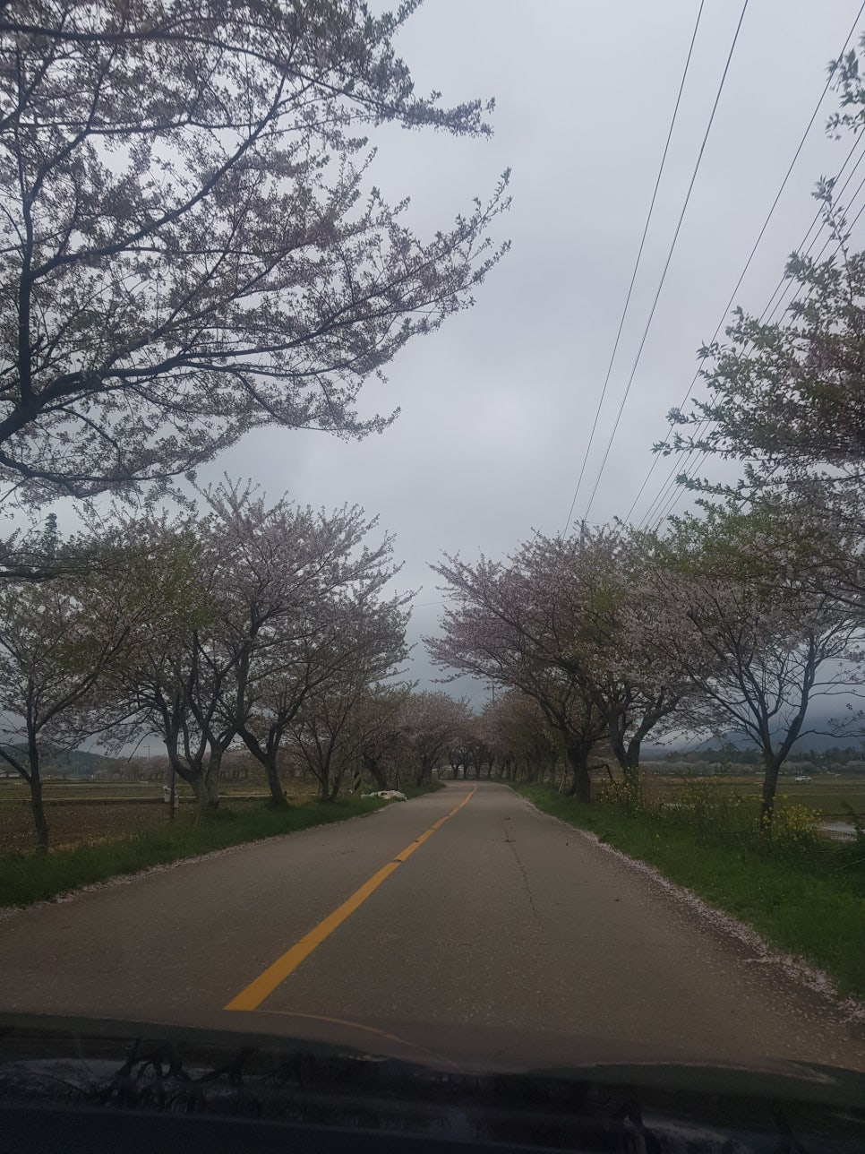 황금족발목포족발평화 이미지
