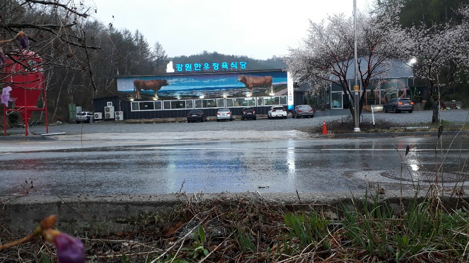 강원식당 이미지