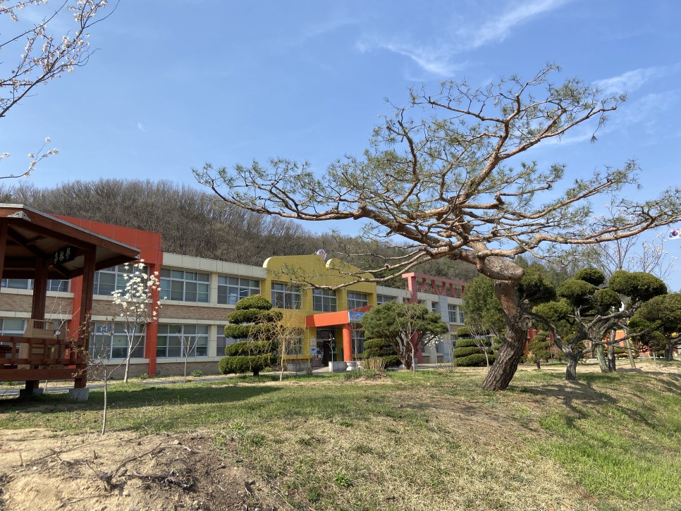 병천초등학교 이미지