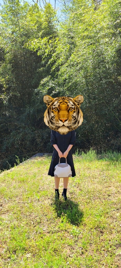 생림국수 이미지