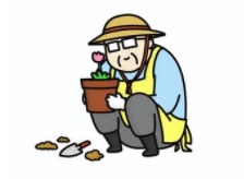 아르르(Arr) 이미지