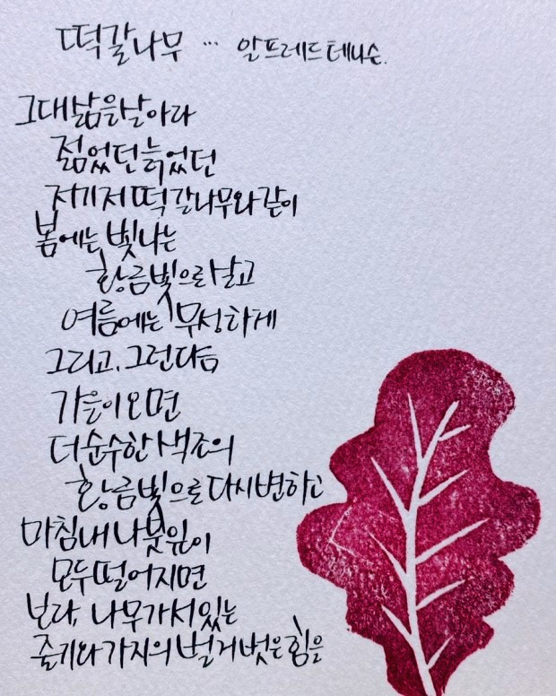스타일피트 이미지