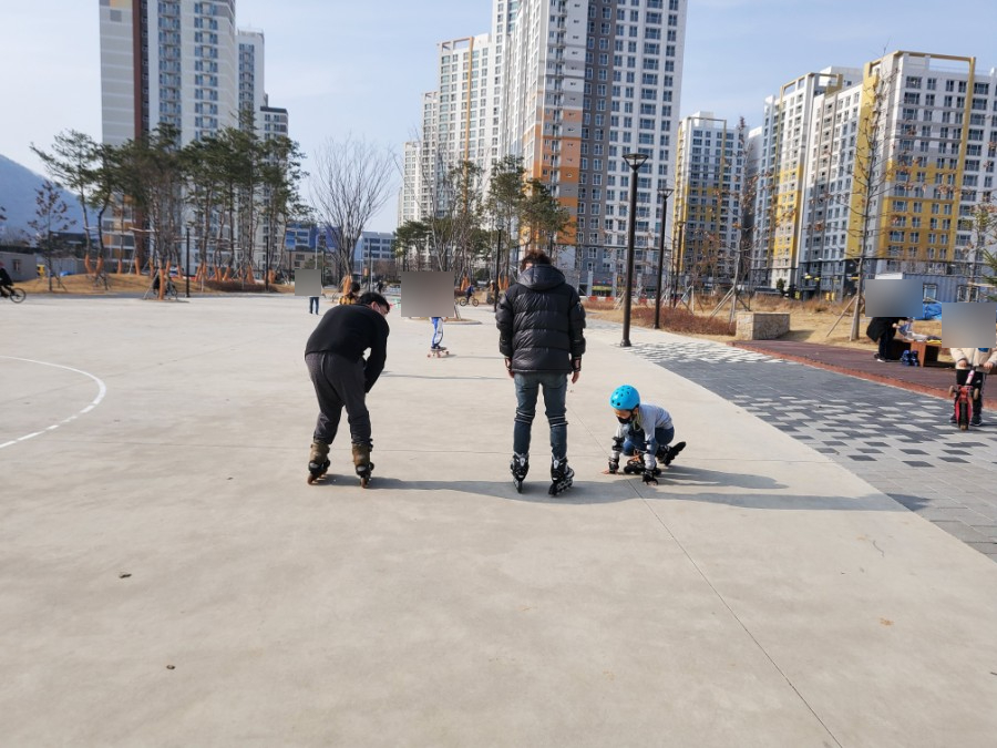 웰빙만두리아 이미지