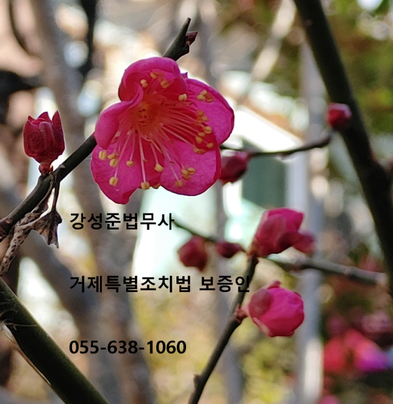 법무사강성준사무소 이미지