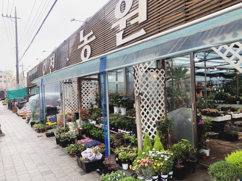 오전꽃농원 이미지