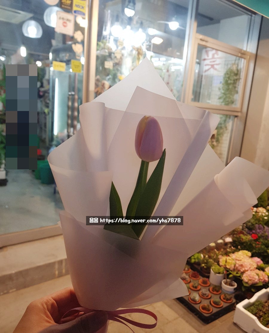 충대꽃화원 이미지
